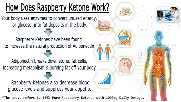 Do You Need To Diet With Raspberry Ketone