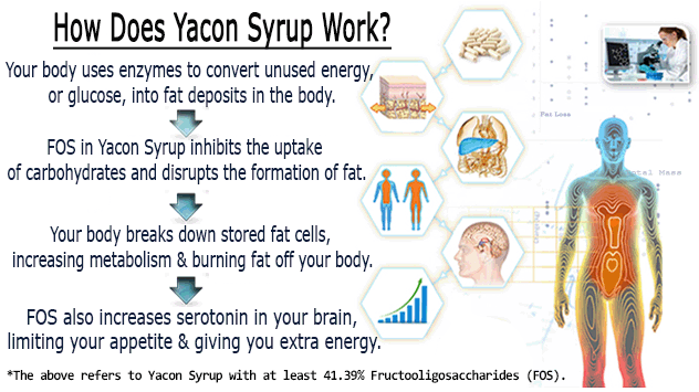 how does yacon syrup work