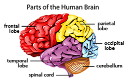 5 methods to increase concentration picture 4