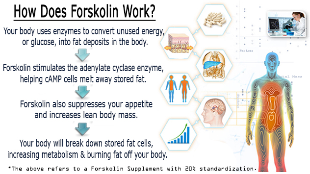 A diet plan for fatty liver picture 10