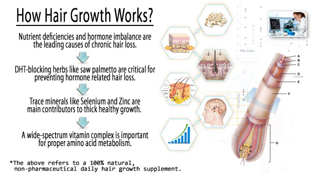 new research about hair growth