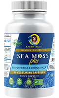 Consumer Review | Krazee Rasta Sea Moss Review