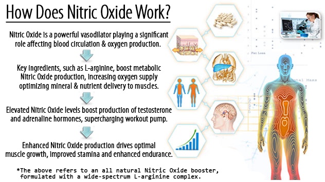 How to increase nitric oxide levels